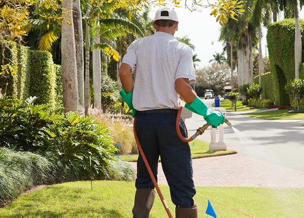 About Hanover CT Pest Control Pros